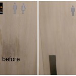 TOILET DOOR