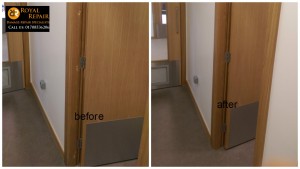 Pellets-repair-London